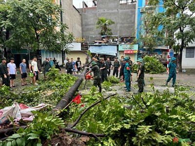 View - 	Hà Nội tập trung dọn dẹp cây xanh ngã đổ, khai thông tuyến phố